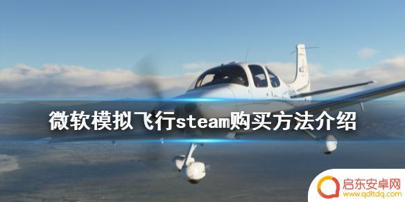 微软飞行模拟2020 steam 微软模拟飞行2020 steam购买