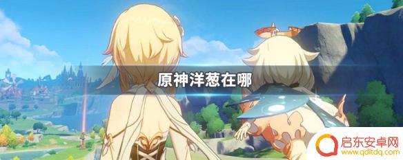 原神新手怎么得洋葱 原神洋葱在哪找
