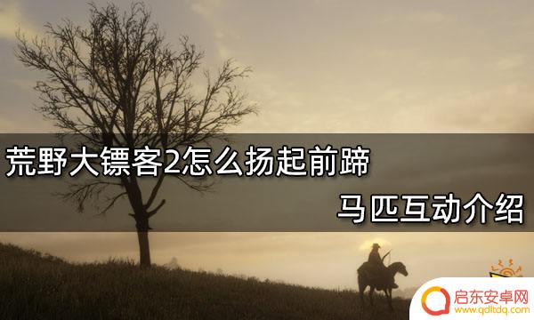 荒野大镖客马怎样抬头 荒野大镖客2 马匹前蹄扬起教程
