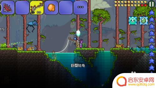 泰拉瑞亚猫鱼概率 泰拉瑞亚猫鱼如何捕捉