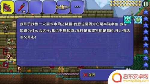 泰拉瑞亚猫鱼概率 泰拉瑞亚猫鱼如何捕捉