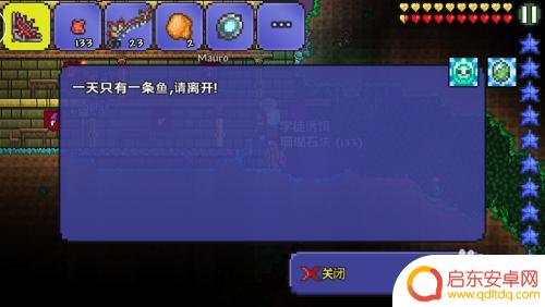泰拉瑞亚猫鱼概率 泰拉瑞亚猫鱼如何捕捉