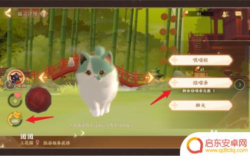 忘川风华录怎么让猫灵结亲 怎么玩忘川风华录