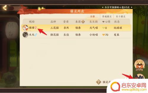 忘川风华录怎么让猫灵结亲 怎么玩忘川风华录