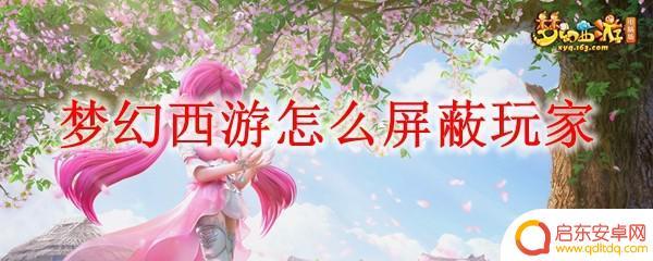 梦幻西游怎么屏蔽周围玩家 梦幻西游如何屏蔽其他玩家