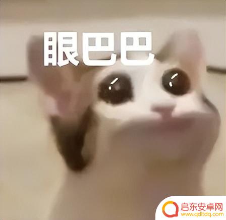 实地测试!iPhone 16最新升级让我大开眼界
