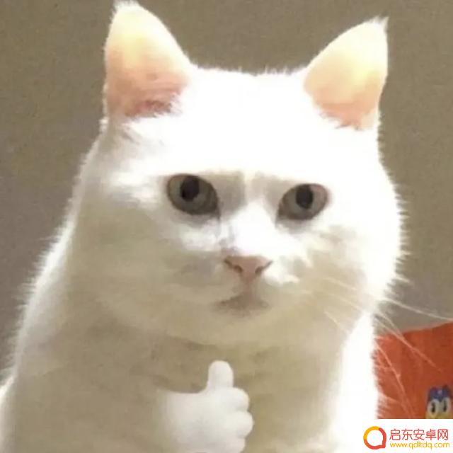 实地测试!iPhone 16最新升级让我大开眼界