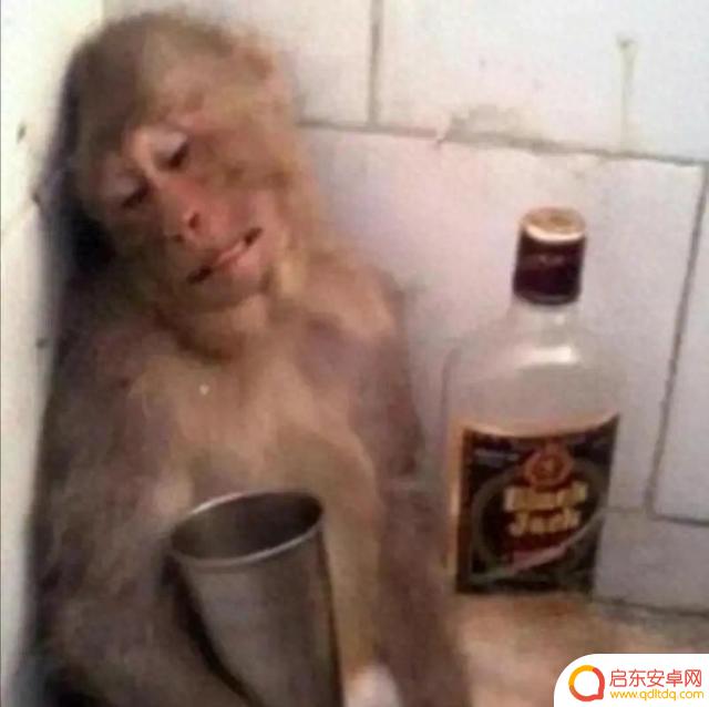 全新发布的4英寸全面屏手机，引起轰动！