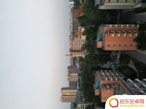 手机怎么拍出绿色背景 绿色照片的色彩规律