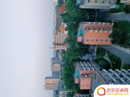 手机怎么拍出绿色背景 绿色照片的色彩规律