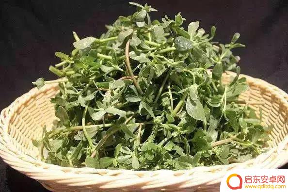 沛县美食抖音糕点(沛县美食抖音糕点店)