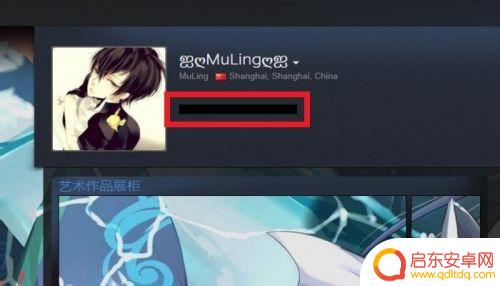 steam资料隐藏文字怎么打 STEAM个人资料界面如何设置隐藏文本