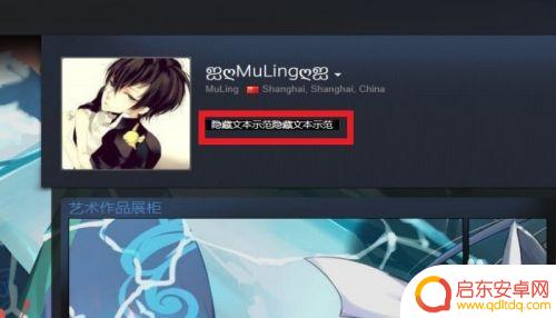 steam资料隐藏文字怎么打 STEAM个人资料界面如何设置隐藏文本