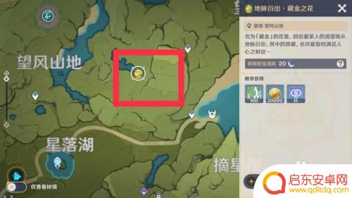 原神的地脉花怎么 原神地脉之花激活方法