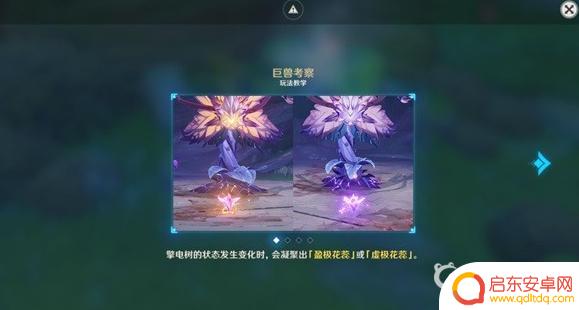 原神电树怎么打快 原神电树掣攻略