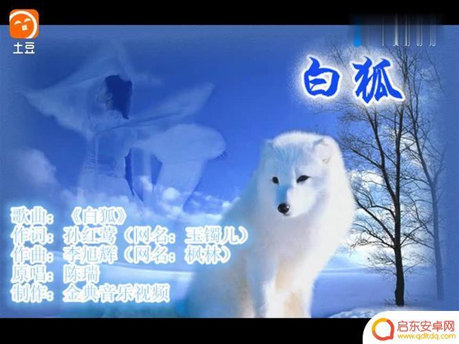 白狐抖音最好听版(抖音白狐抖音上的白狐谁唱的音乐)