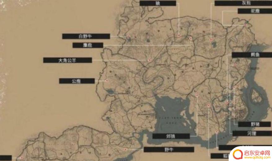 荒野大镖客2猎杀传说动物有什么用?探索游戏中传说动物带来的独特收益