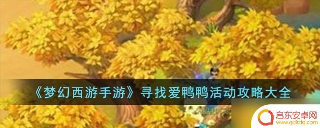 梦幻西游爱鸭鸭坐骑怎么弄 《梦幻西游》寻找爱鸭鸭活动攻略经验分享