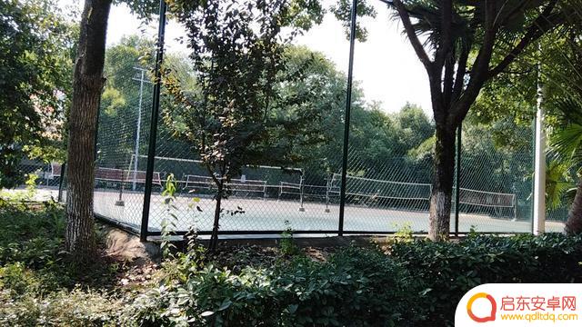 衡阳平湖公园抖音(湖南省衡阳市平湖公园)