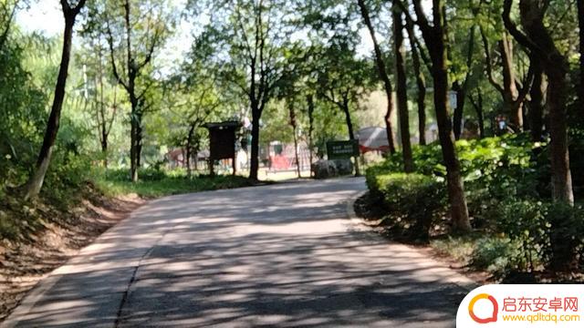 衡阳平湖公园抖音(湖南省衡阳市平湖公园)