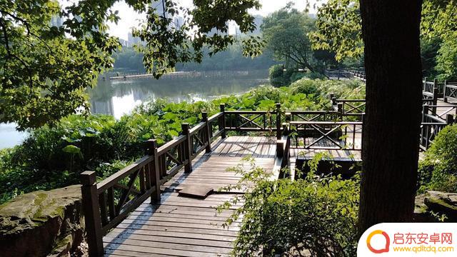 衡阳平湖公园抖音(湖南省衡阳市平湖公园)