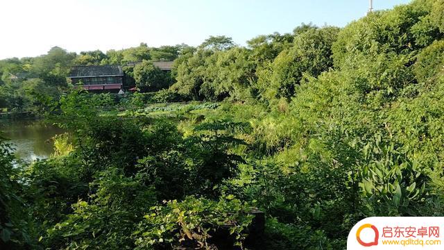 衡阳平湖公园抖音(湖南省衡阳市平湖公园)