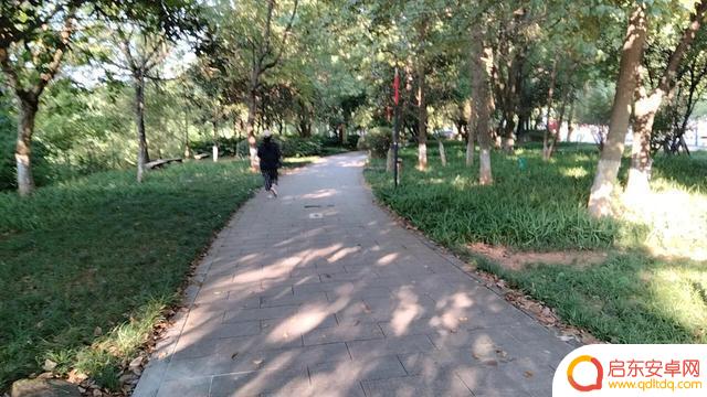 衡阳平湖公园抖音(湖南省衡阳市平湖公园)