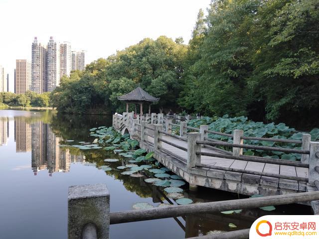 衡阳平湖公园抖音(湖南省衡阳市平湖公园)