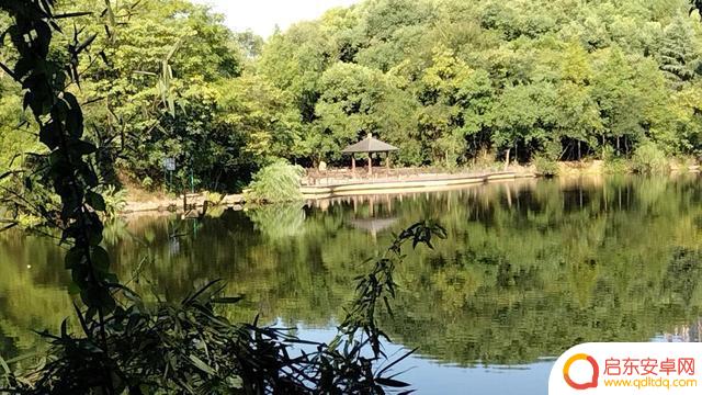 衡阳平湖公园抖音(湖南省衡阳市平湖公园)