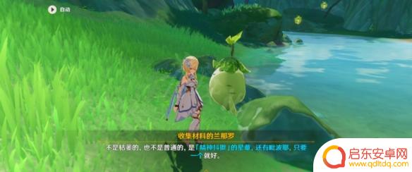原神星熊 《原神》精神抖擞的星蕈获取攻略
