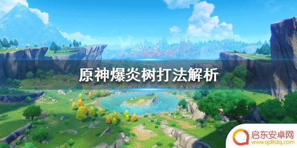 原神火属性花怎么打 《原神》爆炎树用什么角色打
