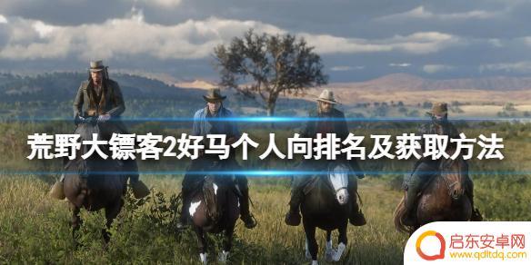 荒野大镖客2属性最好的马 《荒野大镖客2》最好的马有哪些