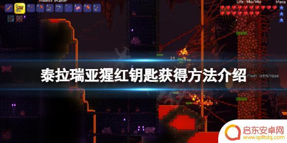 腥红水晶泰拉瑞亚 泰拉瑞亚猩红钥匙怎么获得