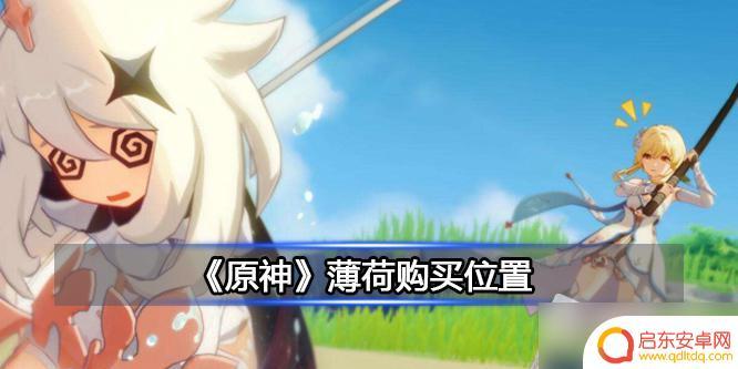 原神怎么获得薄荷 《原神》薄荷购买位置攻略