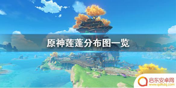 莲蓬原神在哪里采集 《原神》中莲蓬的位置一览
