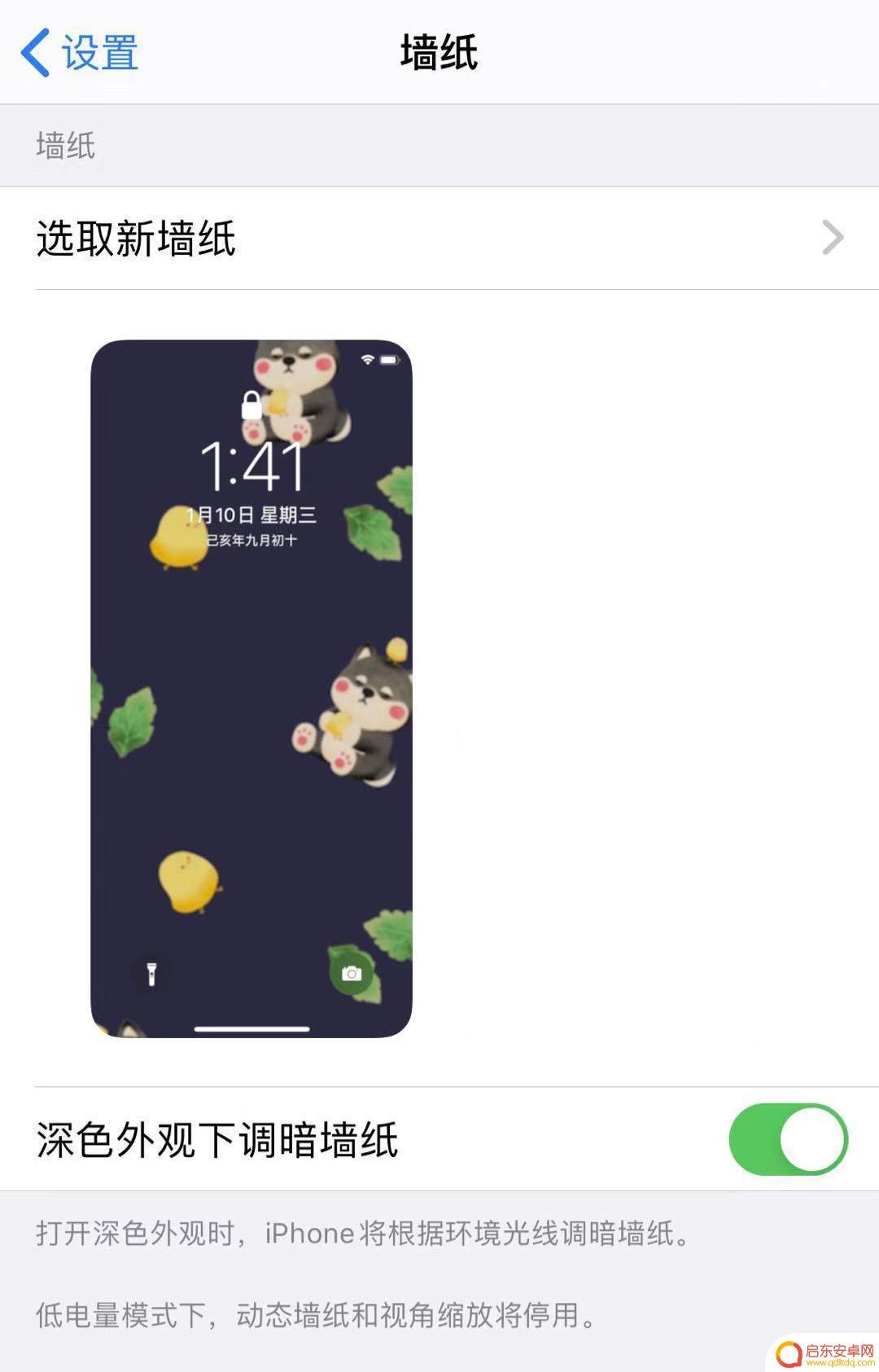 苹果手机相片如何设置实况 iPhone 11/11 Pro 实况照片动态壁纸设置教程