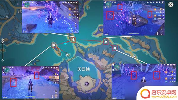 原神怎么采呜草 原神鸣草怎么采集