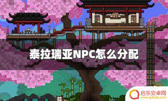 泰拉瑞亚树妖巫医 泰拉瑞亚NPC分配技巧