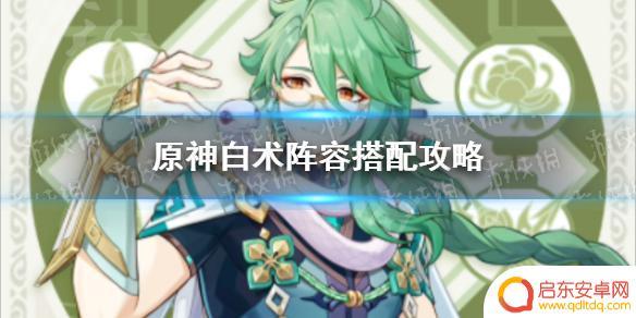 原神白术中配 原神白术怎么搭配队友