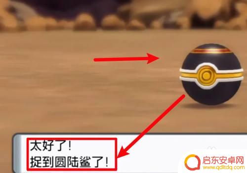 宝可梦大探险如何引来圆陆鲨 宝可梦大探险圆陆鲨怎么捕捉