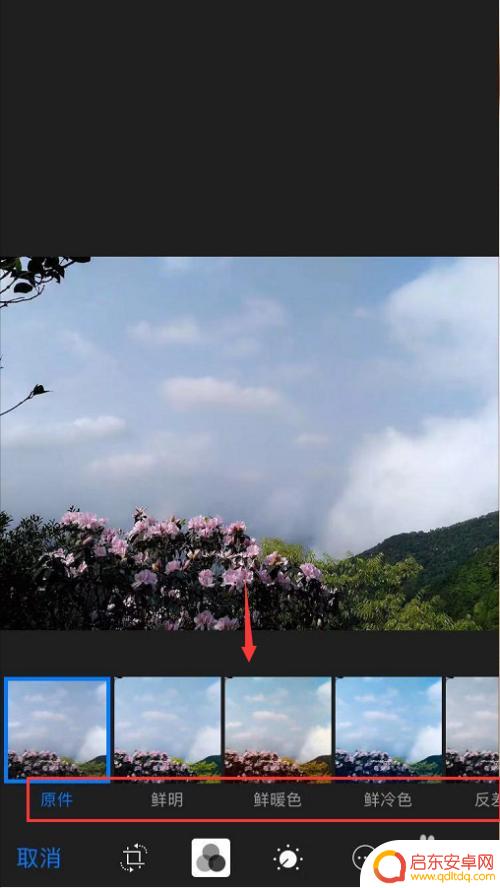 苹果手机怎么滤镜照片 苹果手机拍照如何使用滤镜