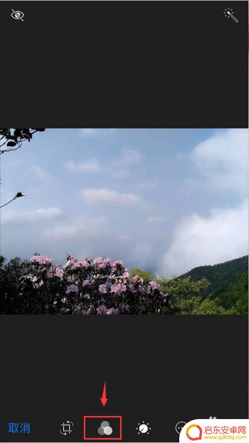 苹果手机怎么滤镜照片 苹果手机拍照如何使用滤镜