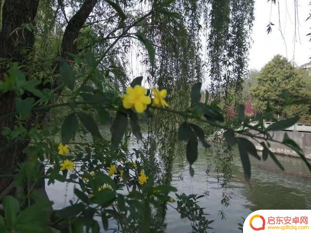 烟雨江南歌词抖音歌曲(烟雨江南歌词抖音歌曲是什么)