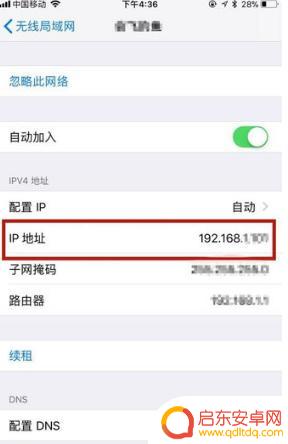 苹果手机ip怎么查询(苹果手机ip怎么设置)