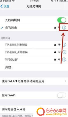 苹果手机ip怎么查询(苹果手机ip怎么设置)