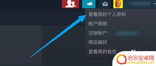 steam私密状态怎么设置 Steam隐私设置怎么修改