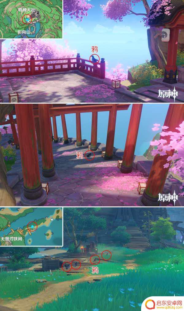 原神鸦地点 原神鸦在哪里可以找到