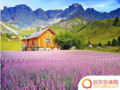 抖音美女头像高清唯美(抖音美女头像高清唯美图片)