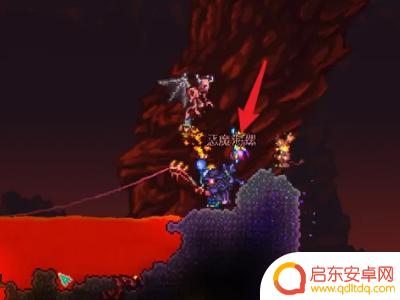 泰拉瑞亚海螺号角信息(泰拉瑞亚海螺号角怎么得)