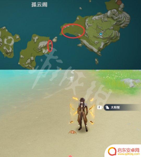 哪有螃蟹原神 《原神》所有螃蟹的捕捉位置一览